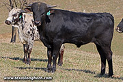 25D_0012.jpg