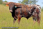 25D_1587.jpg