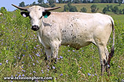 25D_3219.jpg