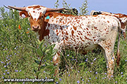 25D_3232.jpg