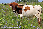 25D_3234.jpg