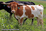 25D_3250.jpg