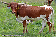 25D_3315.jpg