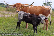 25D_3328.jpg