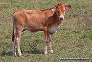 25D_3674.jpg