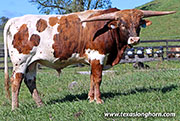 25D_4661.jpg