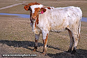 25J_0425.jpg