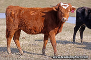 25J_0463.jpg