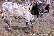25J_0472.jpg