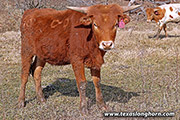 25J_0475.jpg