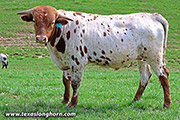 25J_0583.jpg
