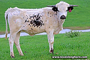 25J_1520.jpg
