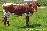 25J_1706.jpg