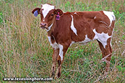 25J_2799.jpg