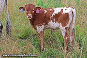 25J_2803.jpg