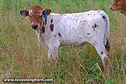 25J_2806.jpg