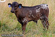 25J_2814.jpg