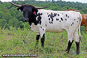 25J_3000.jpg