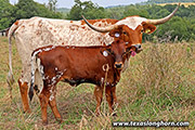 25J_3028.jpg