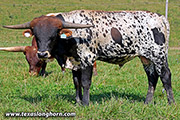25J_3086.jpg