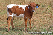 25J_3170.jpg