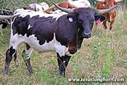 25J_3245.jpg