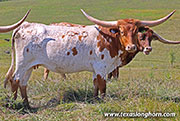 25J_3686.jpg