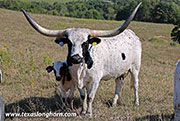 25J_3798.jpg