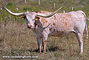25J_3847.jpg