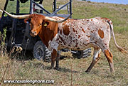 25J_3856.jpg
