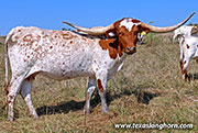 25J_3859.jpg