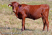 25J_3897.jpg