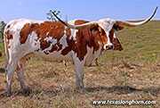 25J_3901.jpg