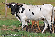25J_3934.jpg
