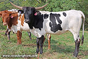 25J_3939.jpg