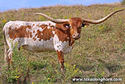 25J_3968.jpg