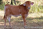 25J_4004.jpg