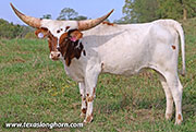 25J_4281.jpg