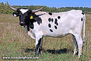 25J_4397.jpg