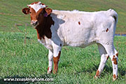 25J_4508.jpg