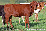 25J_4520.jpg