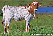 25J_4543.jpg