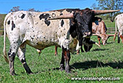 25J_4649.jpg