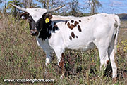 25J_4706.jpg