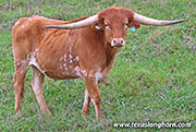 25J_4759.jpg