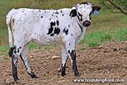 25J_4856.jpg