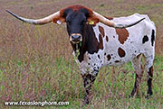 25J_5013.jpg