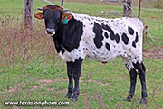 25J_5040.jpg
