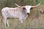 25J_5112.jpg