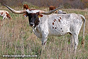25J_5188.jpg